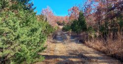 Ozark Dream Property