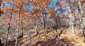 Ozark Dream Property