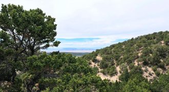 Mountain Paradise