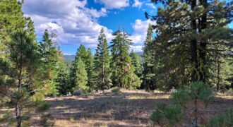 Prime Mountain Retreat #2