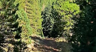 Rare Mountain Property